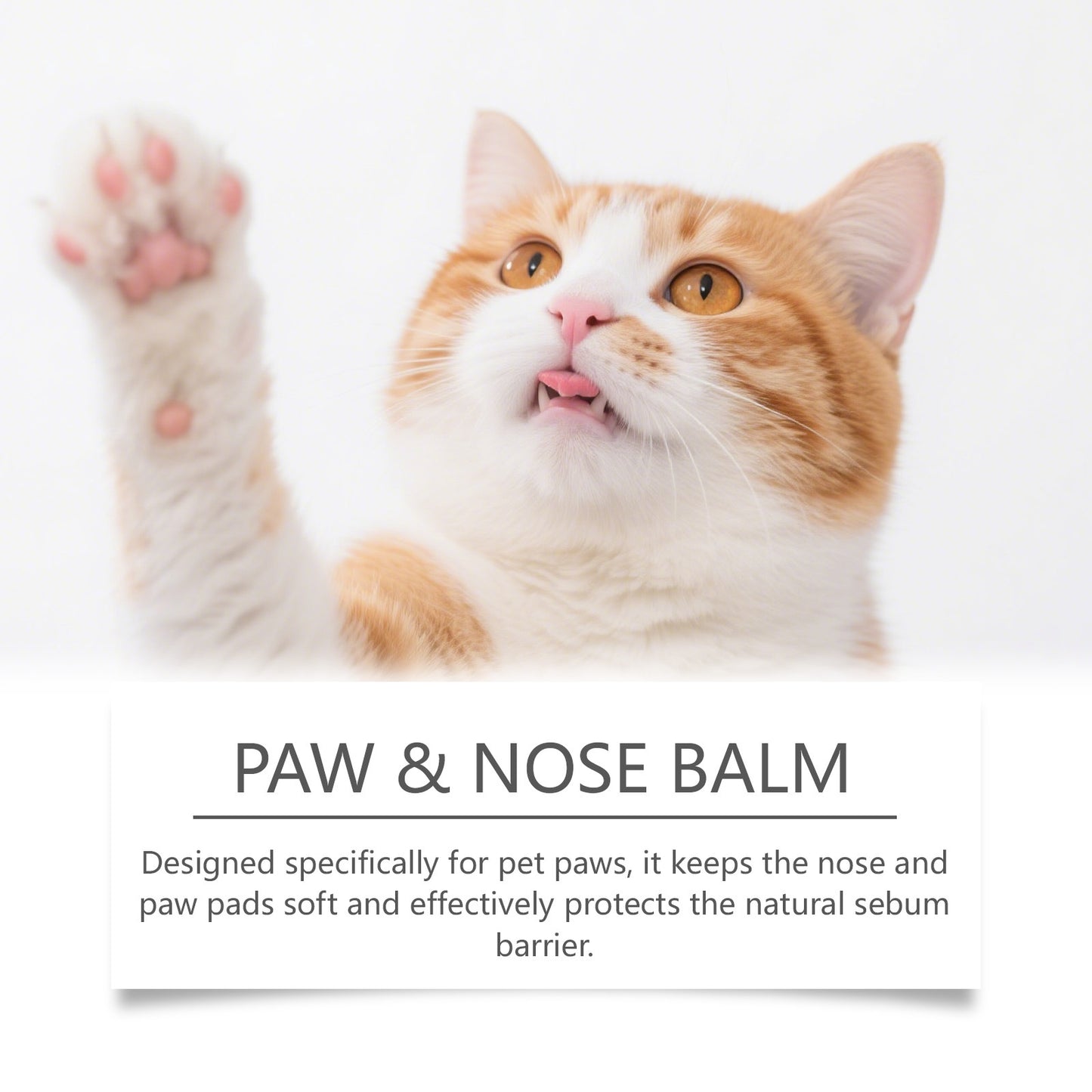 PawBalm Moisturizer